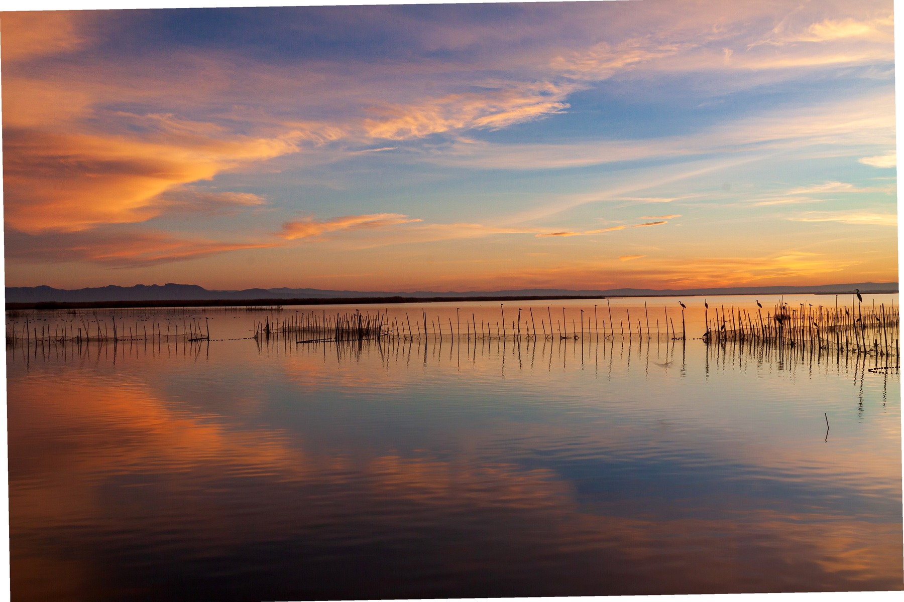 Albufera lagoon boat and natural park near Valencia