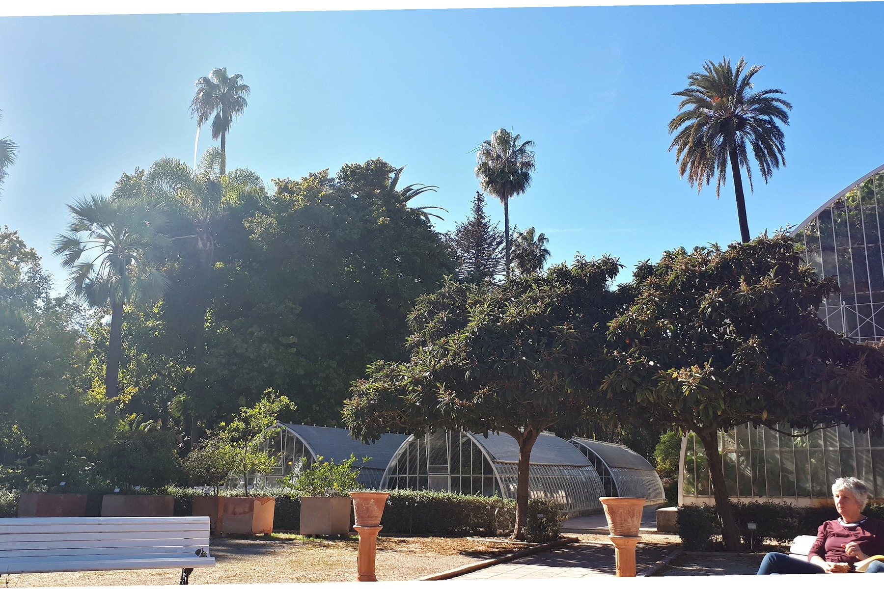 Botanical Garden shaded paths and plants in Valencia