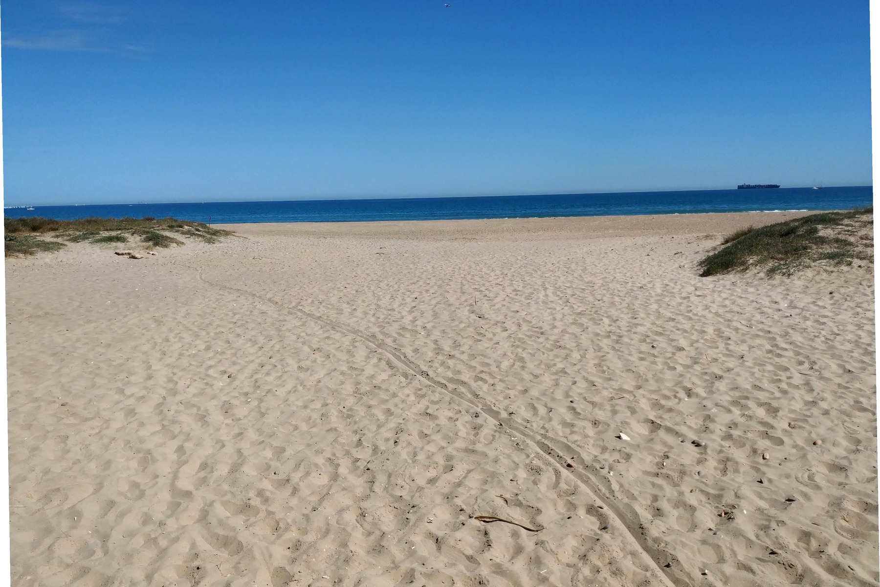 El Saler Beach dunes and Mediterranean coast near Valencia
