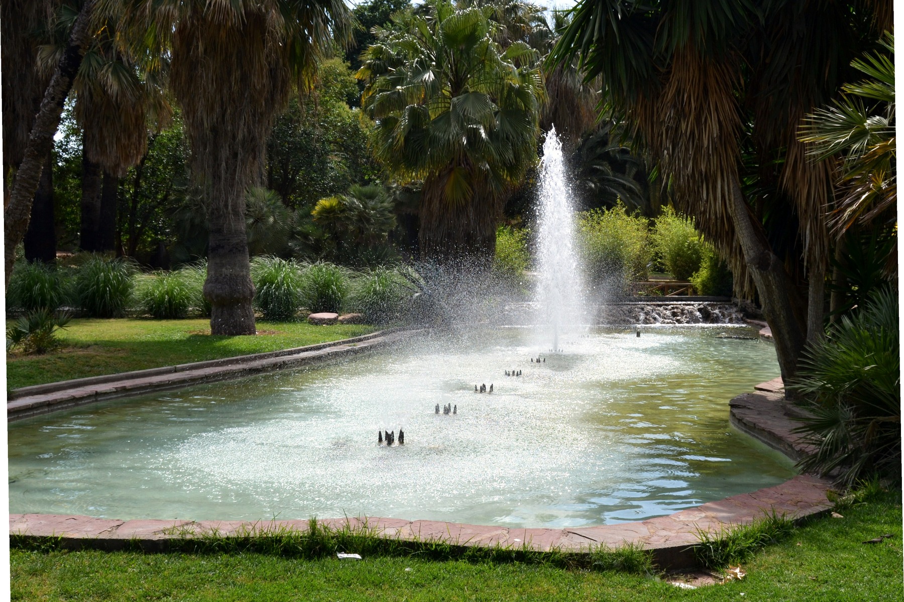 Jardines del Real Viveros shaded gardens and paths in Valencia